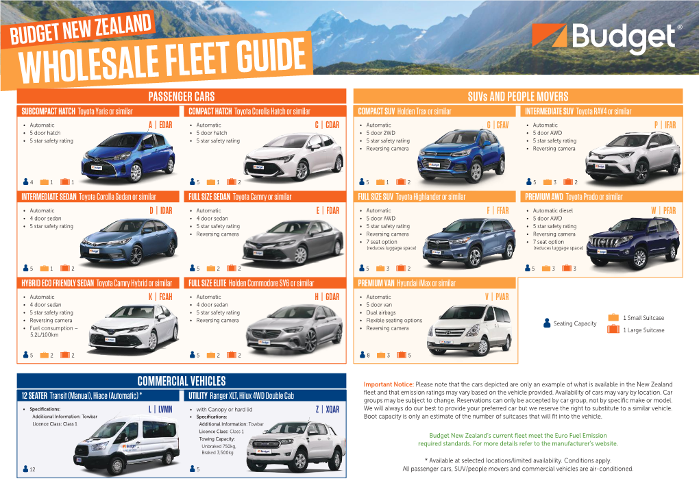 Printable Wholesale Fleet Guide