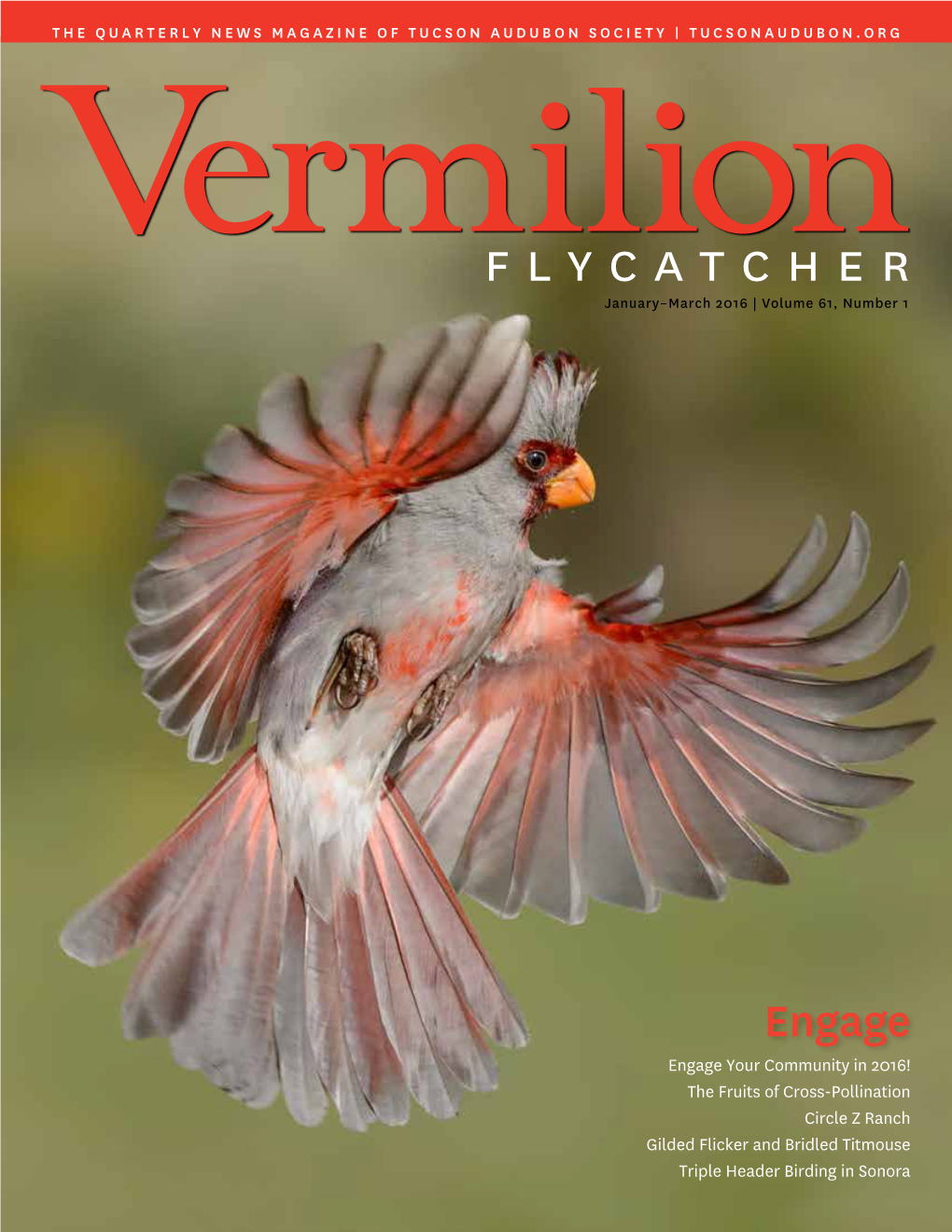 Flycatcher January–March 2016 | Volume 61, Number 1