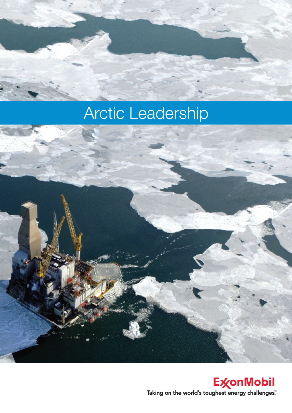 Arctic Leadership