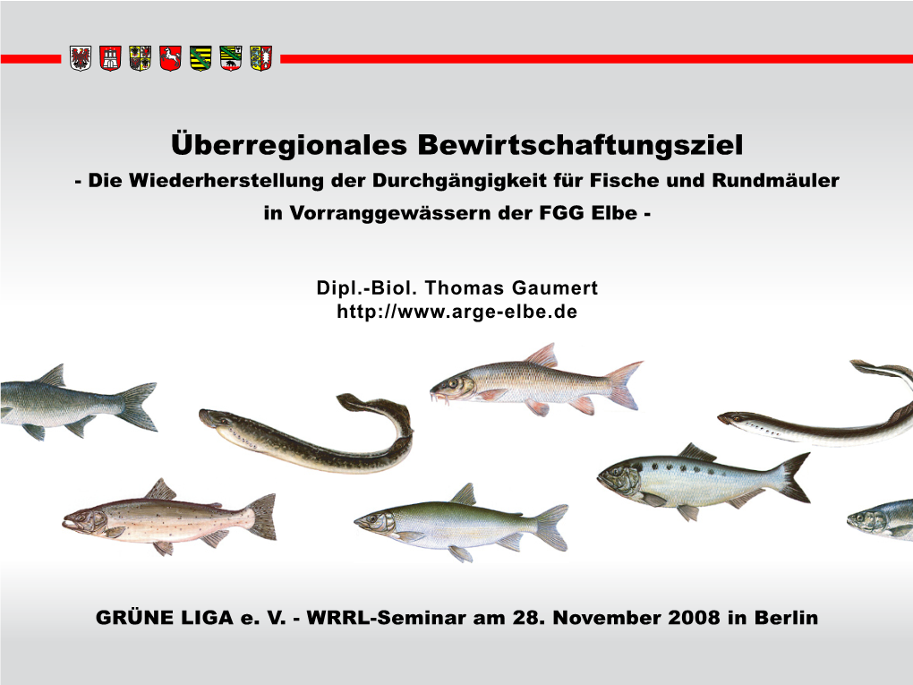 Die Wiederherstellung Der Durchgängigkeit Für Fische Und Rundmäuler in Vorranggewässern Der FGG Elbe
