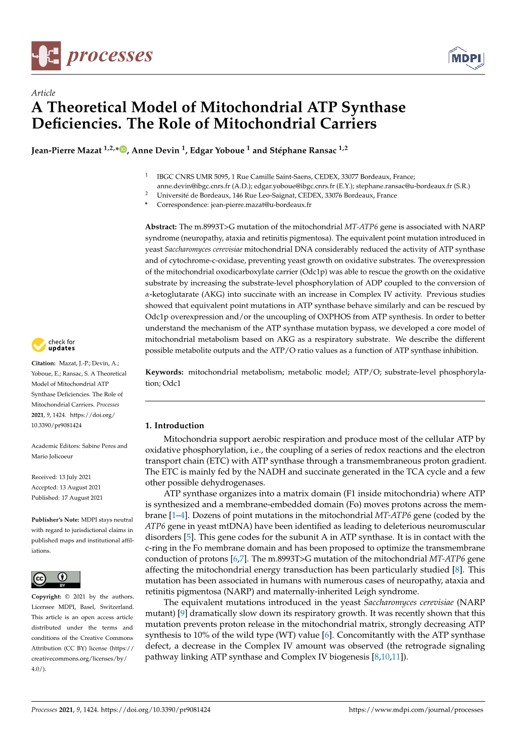 A Theoretical Model of Mitochondrial ATP Synthase Deficiencies