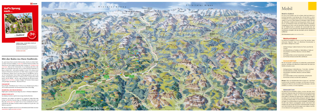 Panoramakarte Südtirol