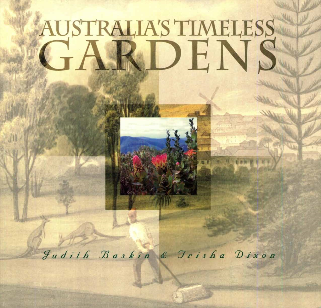 Timeless Gardens