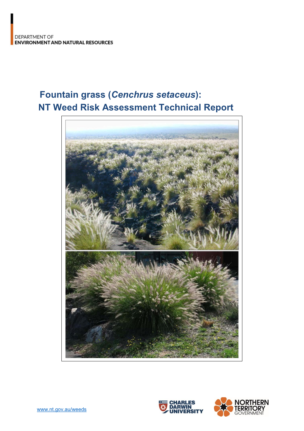 Fountain Grass (Cenchrus Setaceus): NT Weed Risk Assessment Technical Report, Northern Territory Government, Darwin