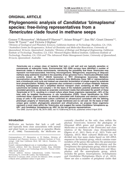 Free-Living Representatives from a Tenericutes Clade Found in Methane Seeps