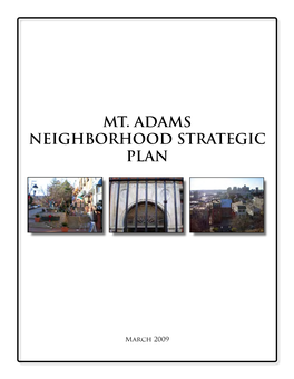 Mt. Adams Neighborhood Strategic Plan