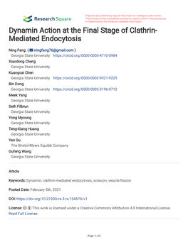 Dynamin Action at the Final Stage of Clathrin- Mediated Endocytosis