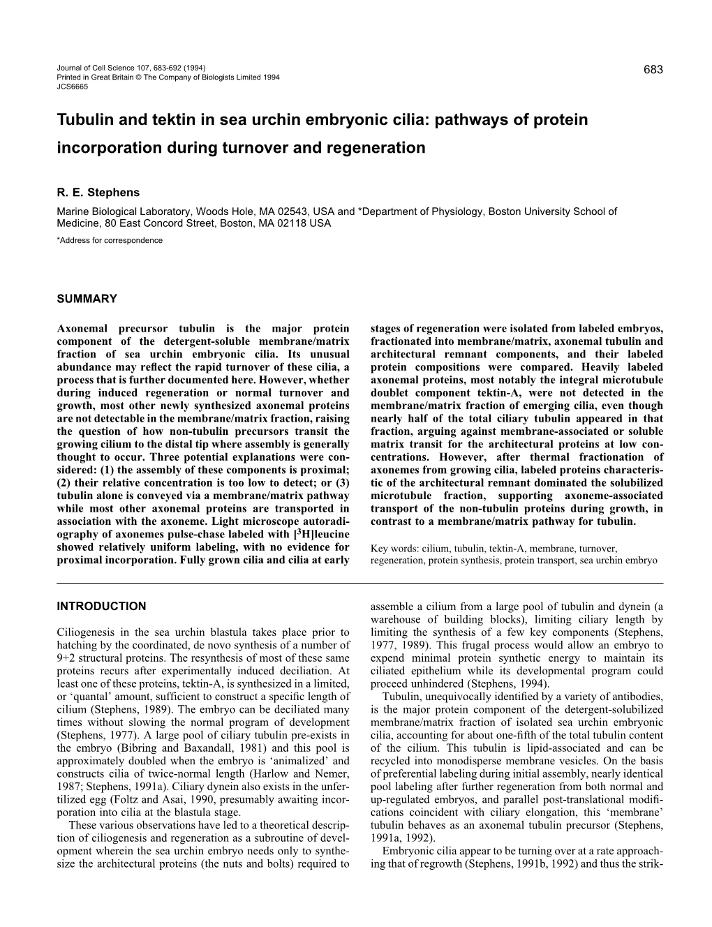 Tubulin and Tektin in Sea Urchin Embryonic Cilia: Pathways of Protein Incorporation During Turnover and Regeneration