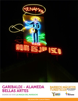 Garibaldi - Alameda Bellas Artes Donde Se Vive La Magia Del Mariachi