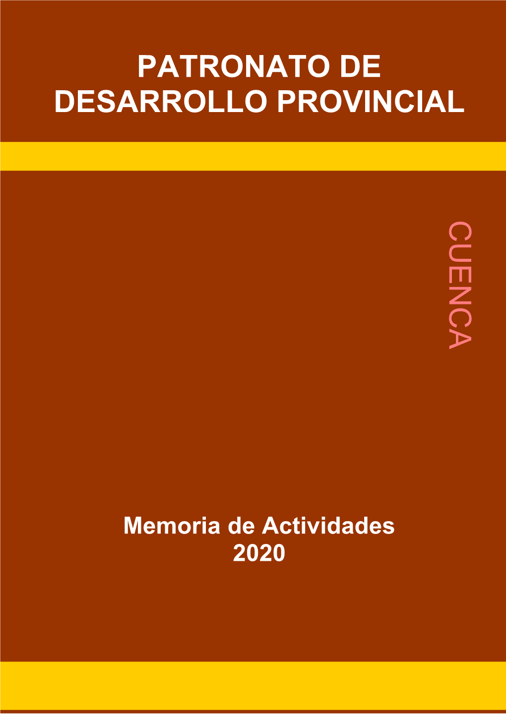 Memoria De Actividades Del Patronato De Desarrollo Provincial. 2020