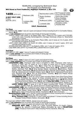 YEARLING, Consigned by Bickmarsh Stud the Property of a Partnership Will Stand at Park Paddocks, Highflyer Paddock J, Box 174