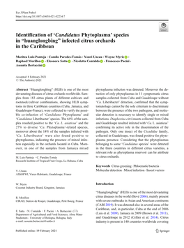 Identification of 'Candidatus Phytoplasma' Species in “Huanglongbing” Infected Citrus Orchards in the Caribbean