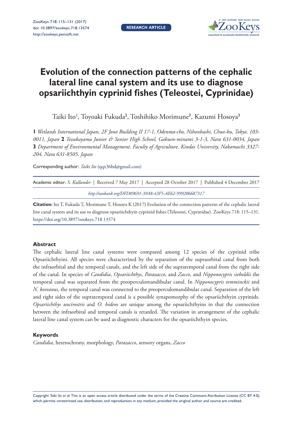 ﻿Evolution of the Connection Patterns of the Cephalic Lateral Line Canal