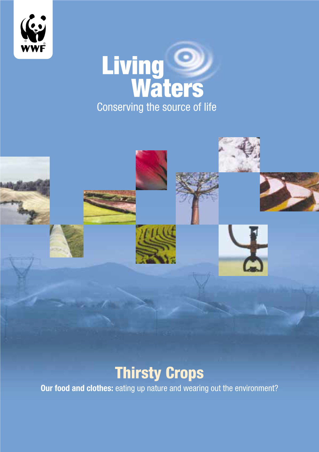 Water-Intensive Crops