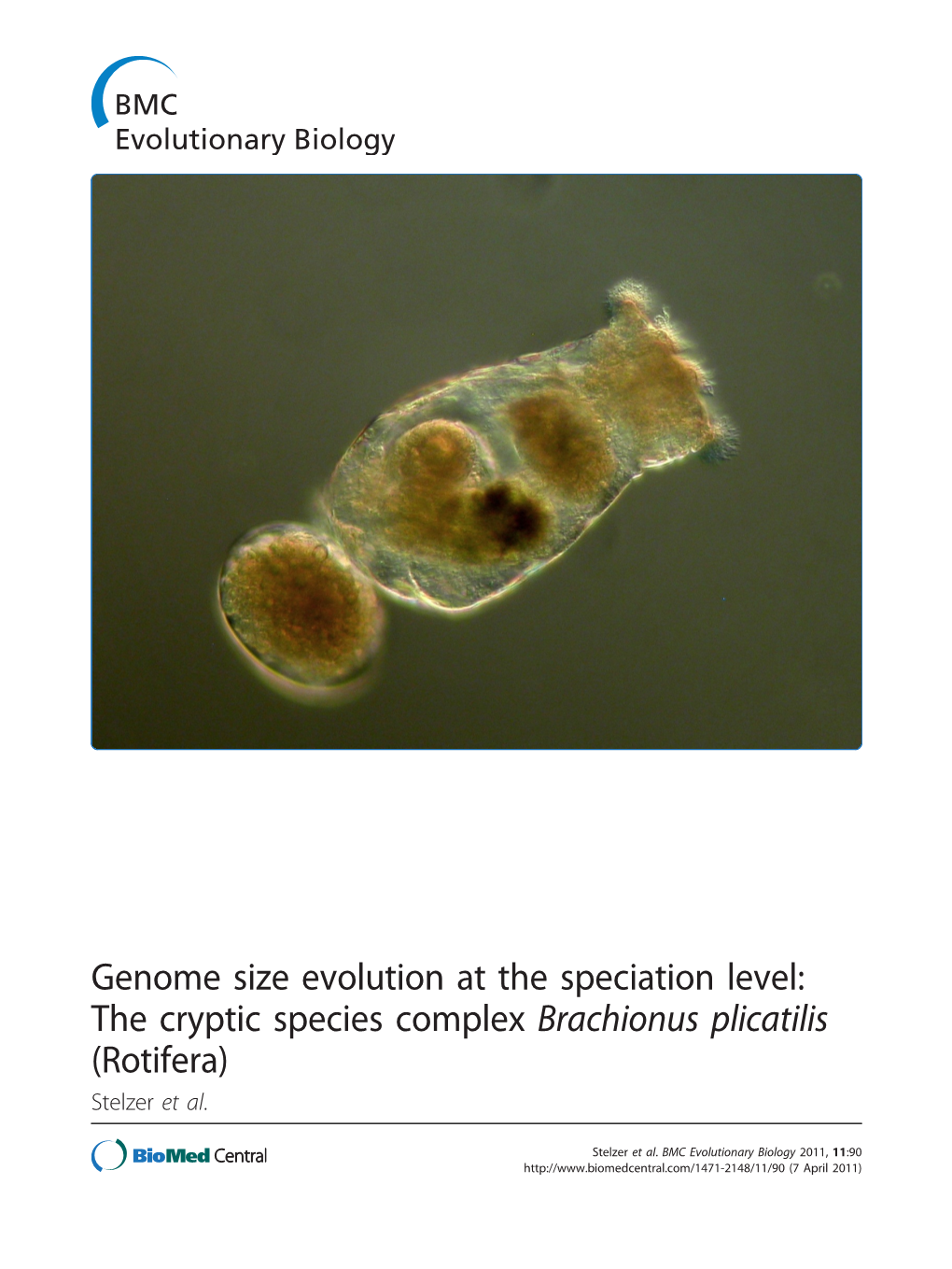 The Cryptic Species Complex Brachionus Plicatilis (Rotifera) Stelzer Et Al