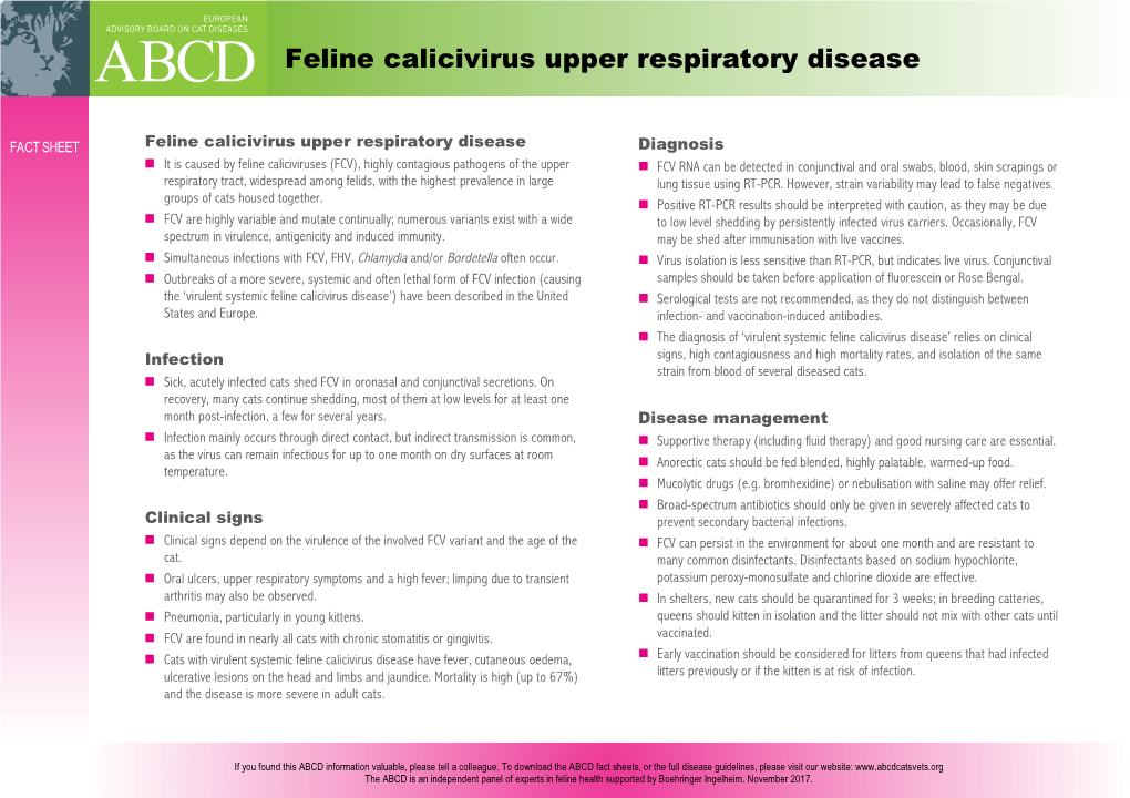 What Is Feline Calicivirus Upper Respiratory Infection?