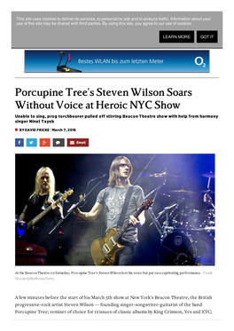 Porcupine Tree's Steven Wilson Soars Without