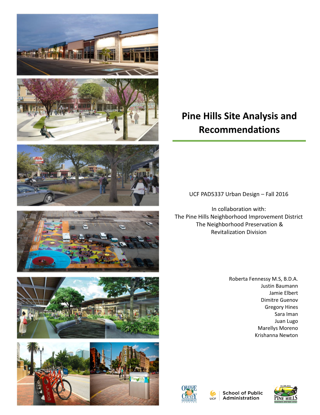 Pine Hills Site Analysis and Recommendations