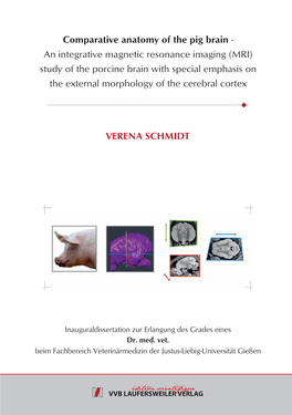 Comparative Anatomy of the Pig Brain