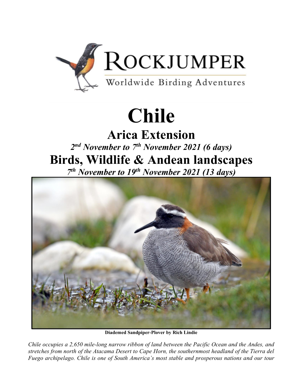 Arica Extension Birds, Wildlife & Andean Landscapes