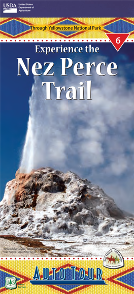 Experience the Nez Perce National Historic Trail Through Yellowstone