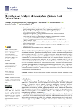 Phytochemical Analysis of Symphytum Officinale Root Culture Extract