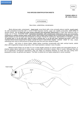 Kyph 1983 Fao Species Identification Sheets