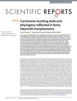 Carnivoran Hunting Style and Phylogeny Reflected in Bony