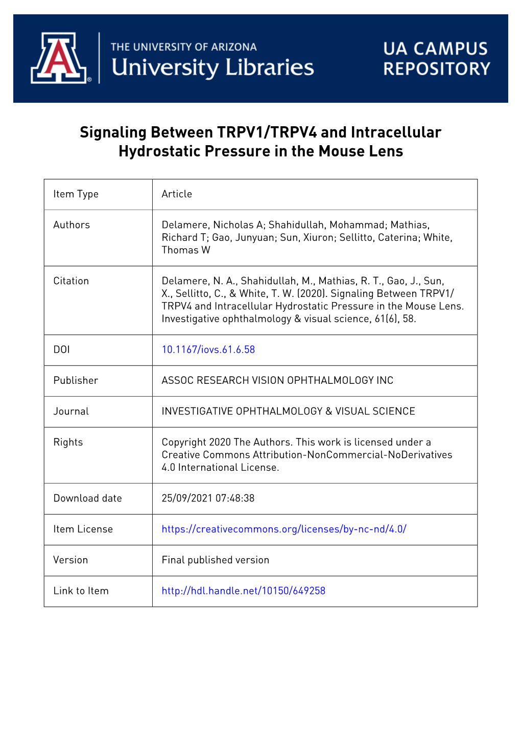Signaling Between TRPV1/TRPV4 and Intracellular Hydrostatic Pressure in the Mouse Lens