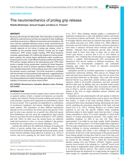 The Neuromechanics of Proleg Grip Release Ritwika Mukherjee, Samuel Vaughn and Barry A