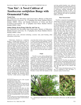 'Yan Xia': a Novel Cultivar of Xanthoceras Sorbifolium Bunge