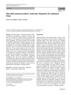 Molecular Blueprints for Antitumor Drugs