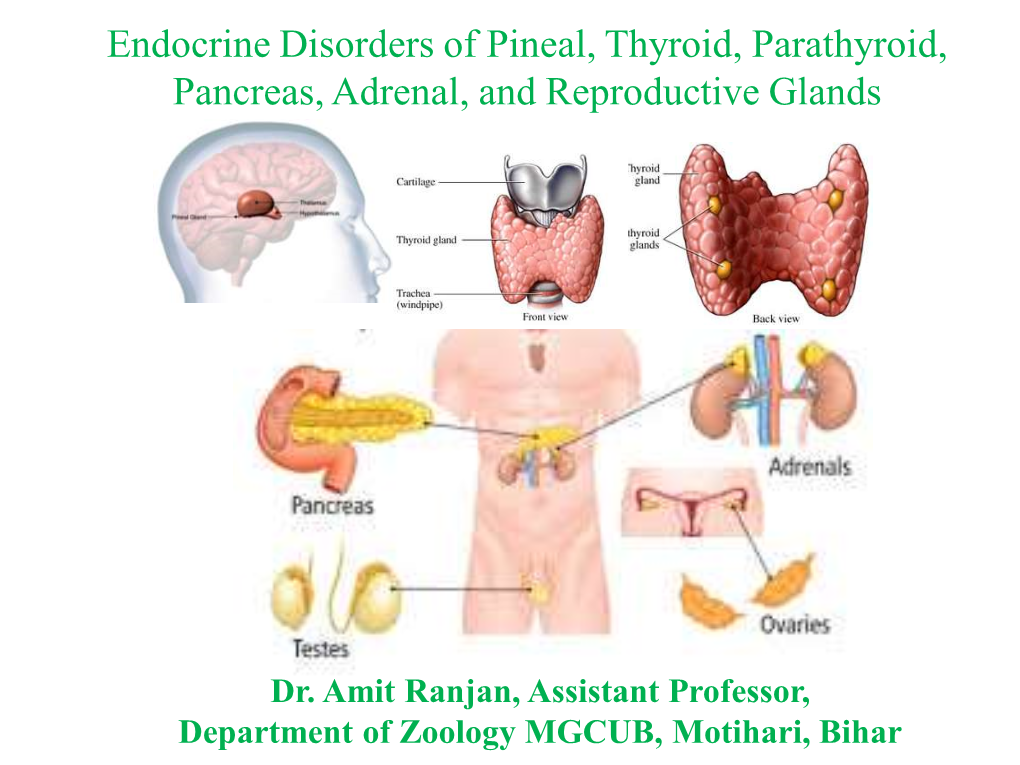 Endocrine Disorders Of Pineal Thyroid Parathyroid Pancreas Adrenal