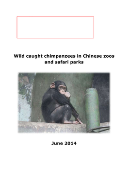 Wild Caught Chimpanzees in Chinese Zoos and Safari Parks June 2014