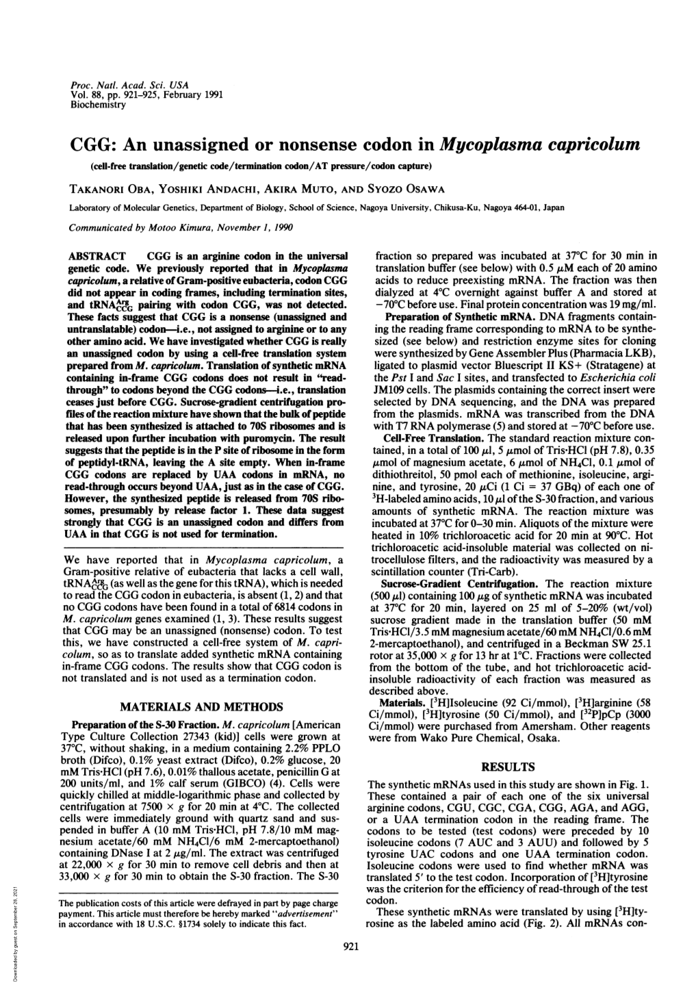 CGG: an Unassigned Or Nonsense Codon in Mycoplasma Capricolum