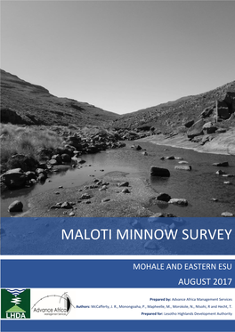 Maloti Minnow Survey