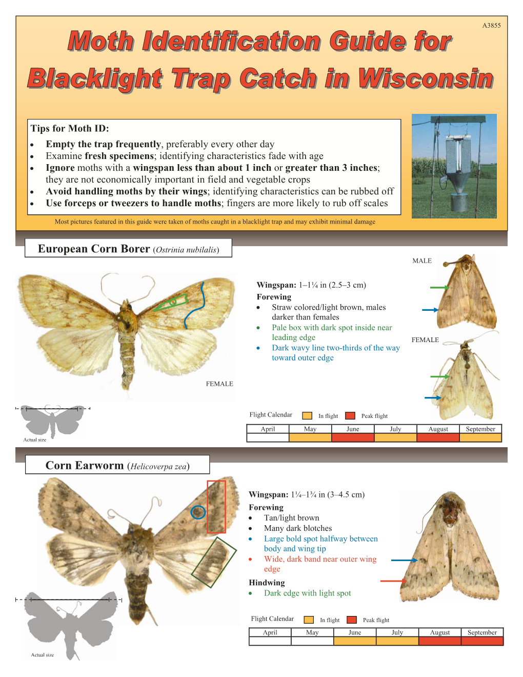 Moth Identification Guide for Blacklight Trap Catch in Wisconsin (A3855)