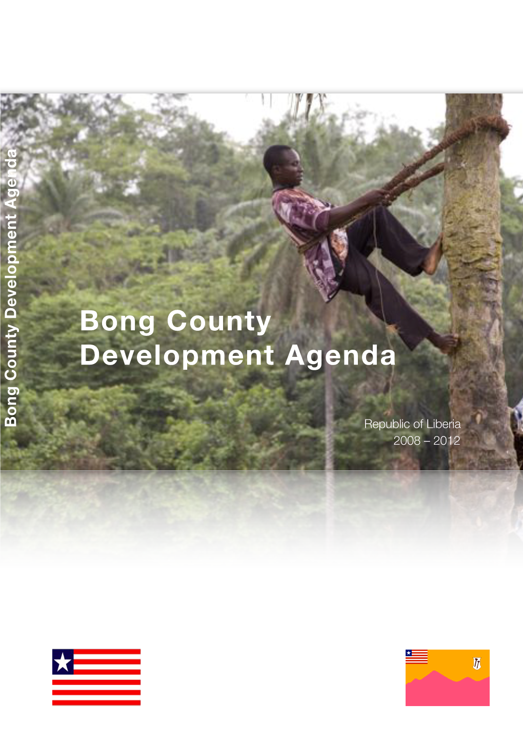 Bong County Development Agenda