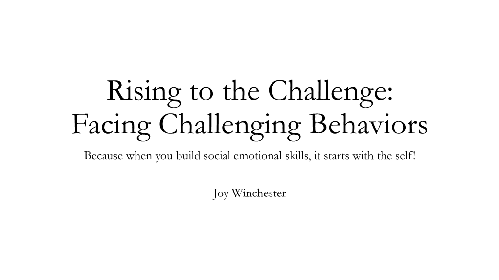 Challenging Behavior Support