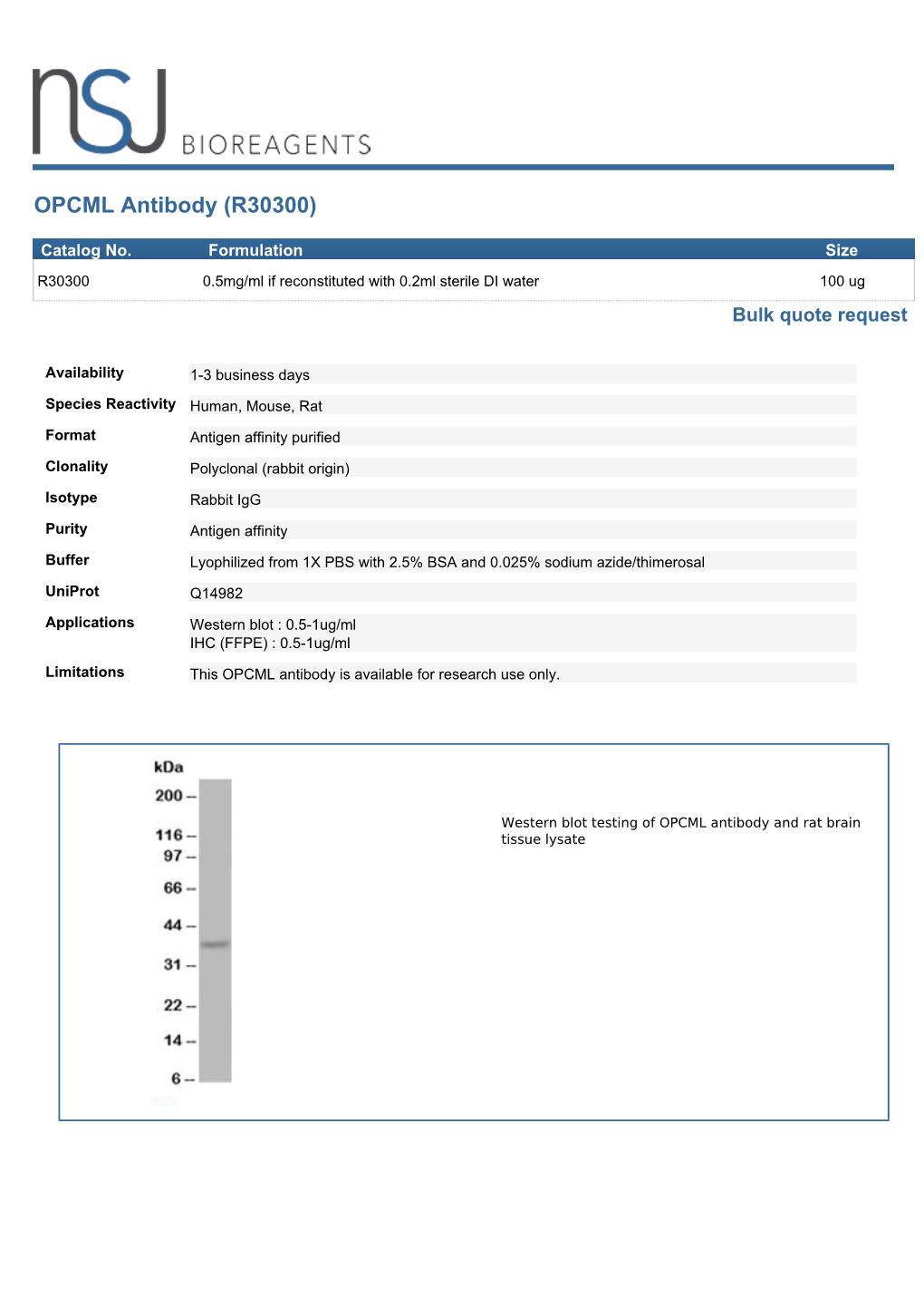 OPCML Antibody (R30300)