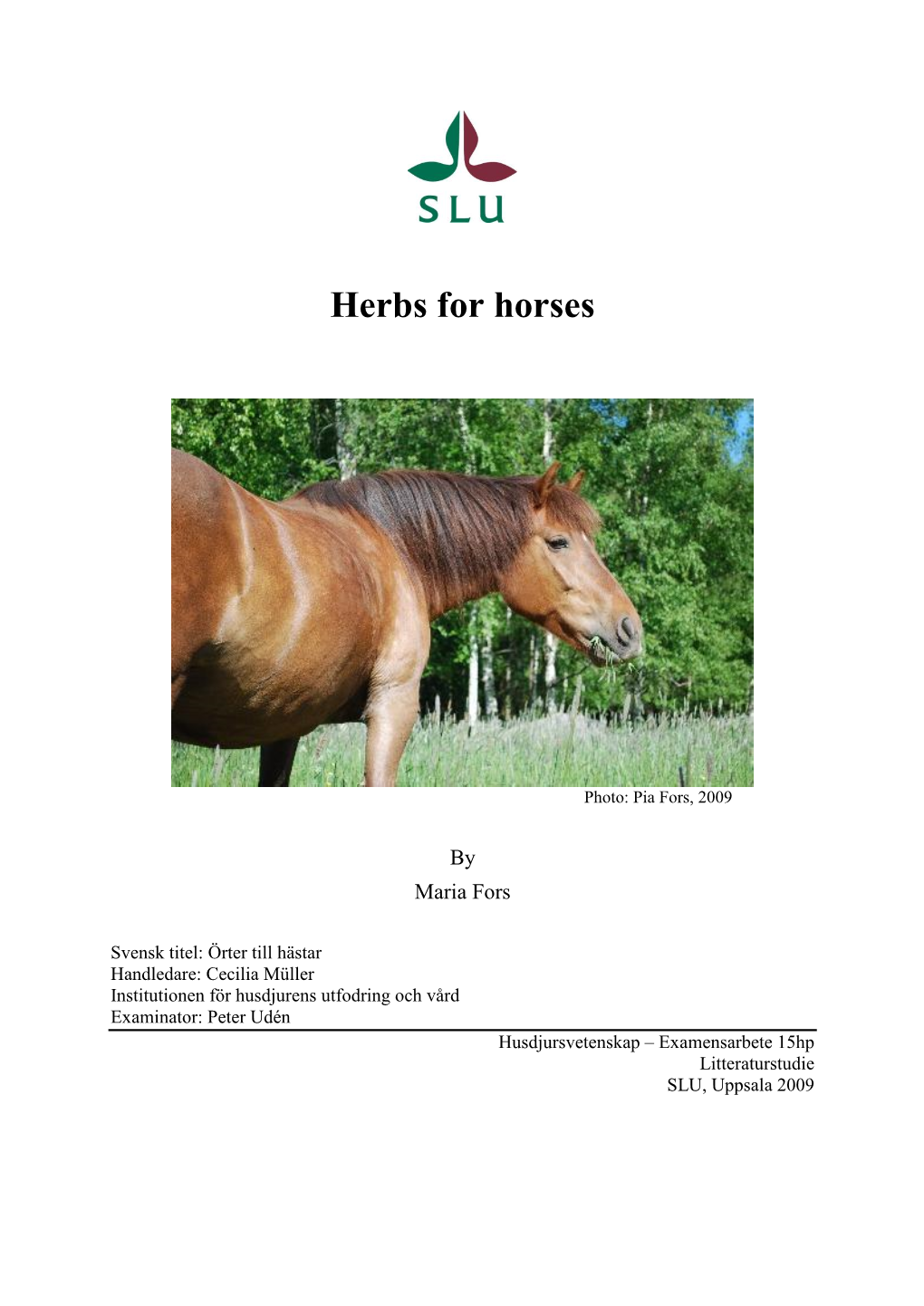 Herbs for Horses