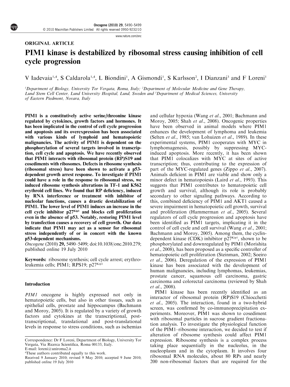 PIM1 Kinase Is Destabilized by Ribosomal Stress Causing Inhibition of Cell Cycle Progression