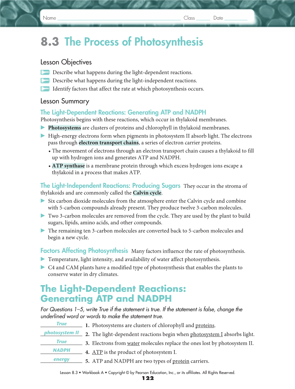 8.3 the Process of Photosynthesis