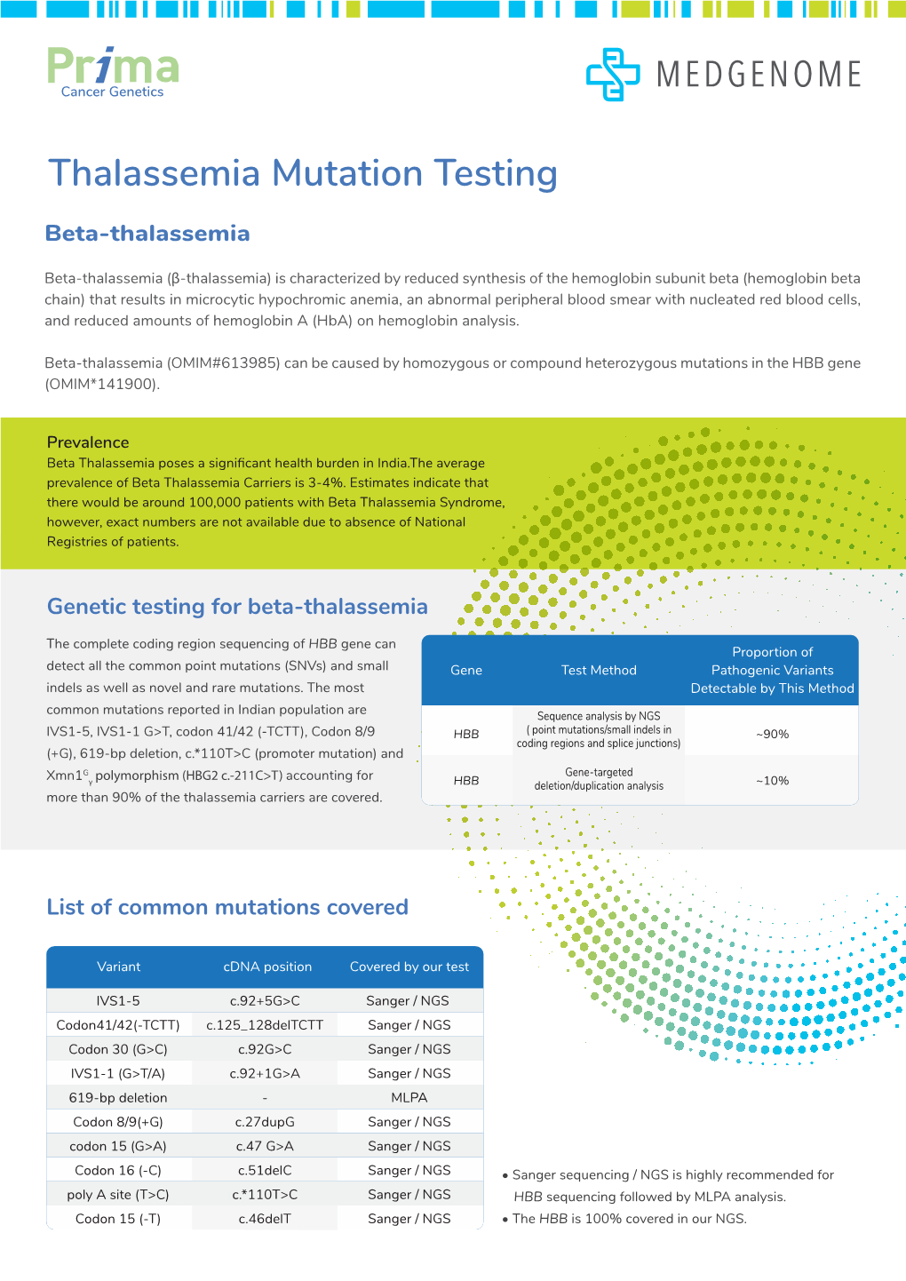 Thalassemia Mutation Testing Beta-Thalassemia