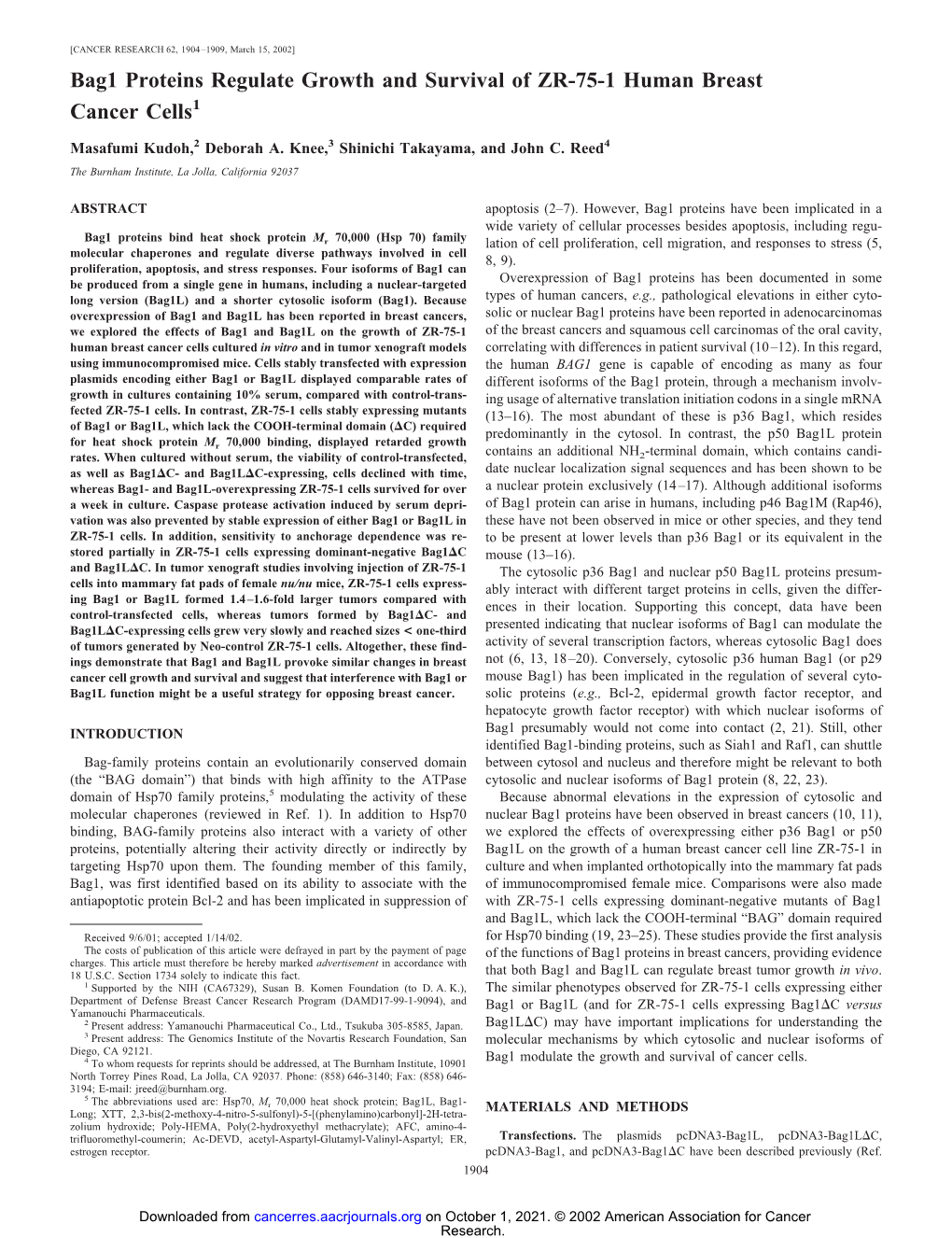 Bag1 Proteins Regulate Growth and Survival of ZR-75-1 Human Breast Cancer Cells1