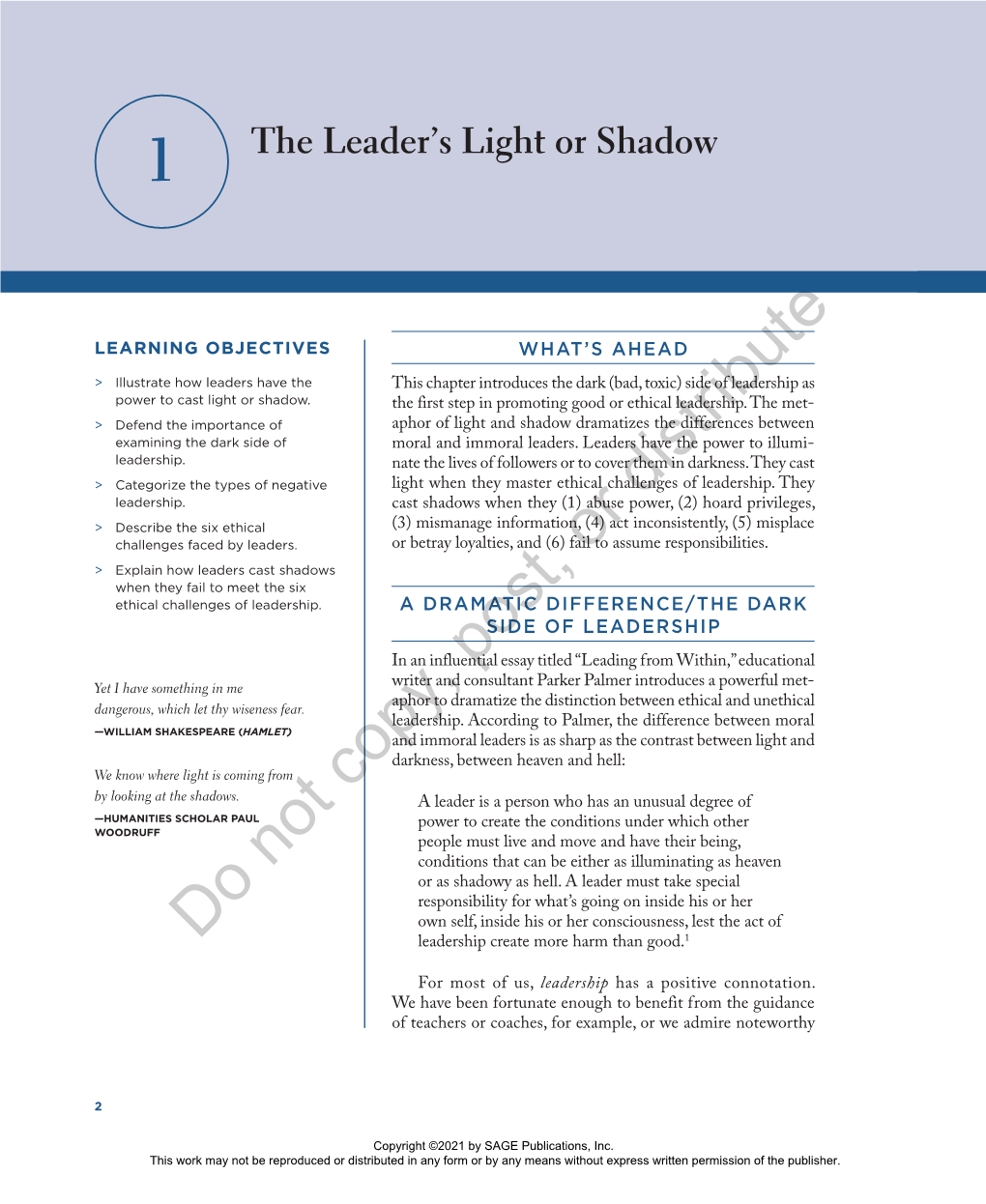 1 the Leader's Light Or Shadow