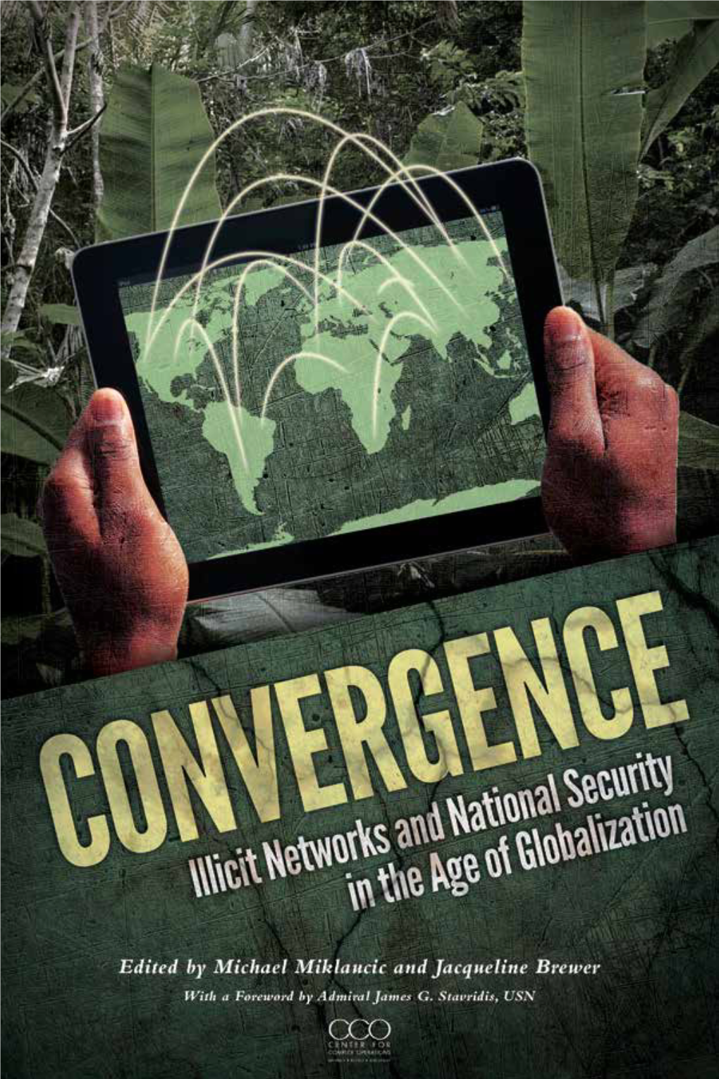 Illicit Networks and National Security in the Age of Globalization, That Delves Deeply Into Everything Mentioned Above and More