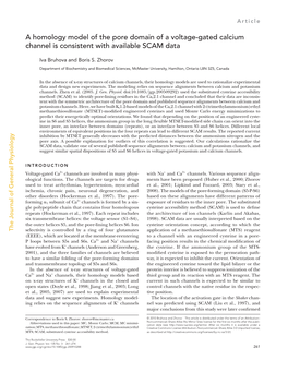 A Homology Model of the Pore Domain of a Voltage-Gated Calcium Channel Is Consistent with Available SCAM Data