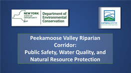 Peekamoose Valley Riparian Corridor: Public Safety, Water Quality, and Natural Resource Protection ([P