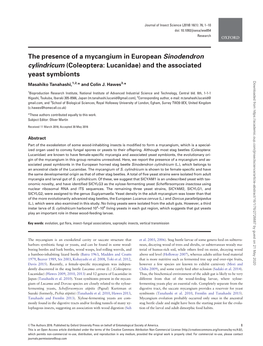 The Presence of a Mycangium in European Sinodendron